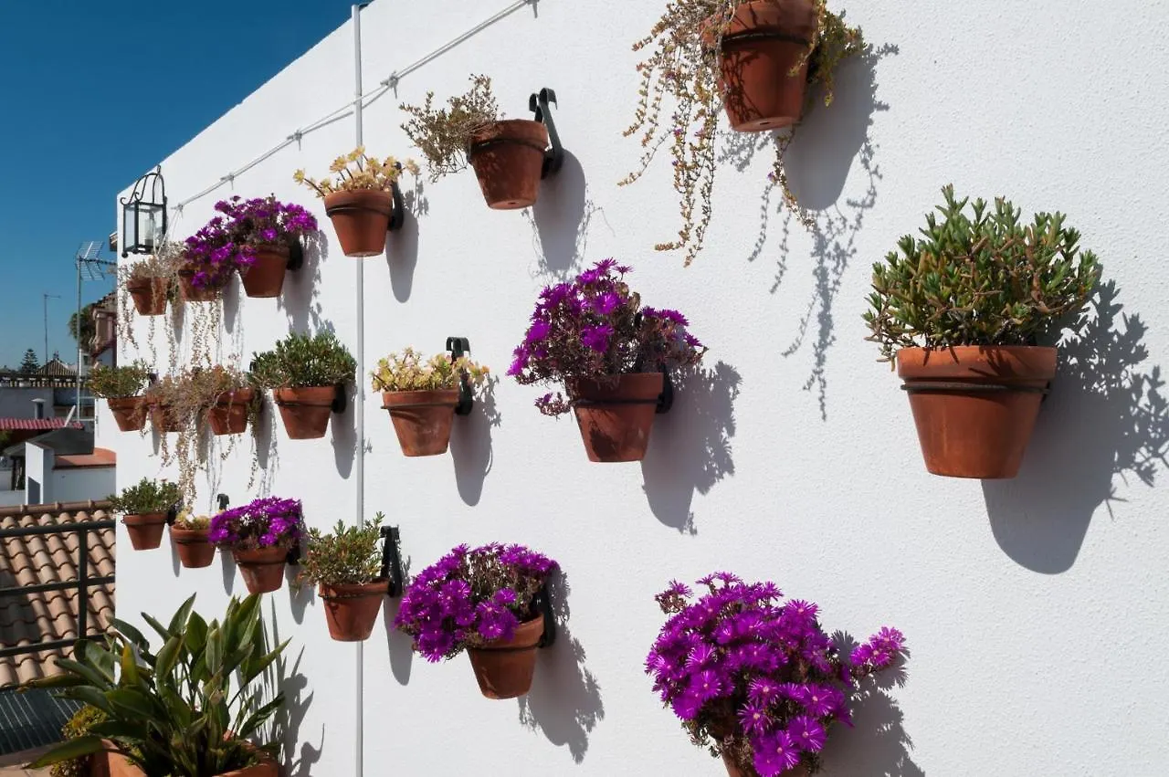 Hotel Murillo Seville 2*,  Spain